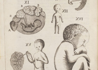 Embriologia sacra by Francesco Emmanuele Cangiamila