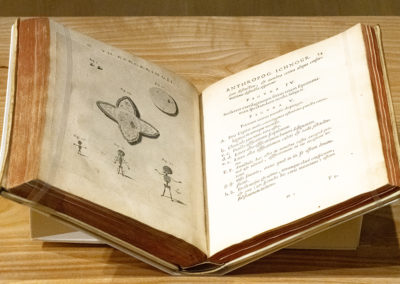 Spicilegivm anatomicvm, continens observationum anatomicarum rariorum centuriam unam by Theodor Kerckring