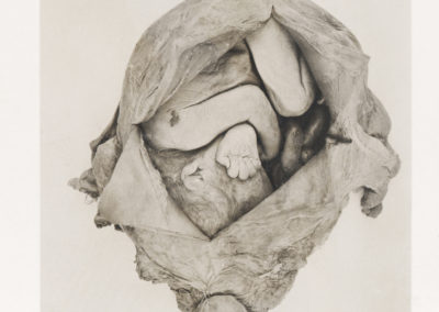 ‘Gravid Uterus at the Eighth Month of Pregnancy’ from The Edinburgh stereoscopic atlas of obstetrics by G.F. Barbour Simpson, ed.
