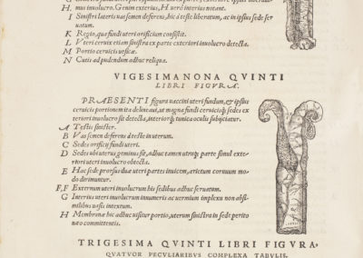Scholae medicorum Patauinae professoris de humani corporis fabrica libri septem by Andreas Vesalius